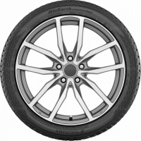 245/40 R21 100V Yokohama BluEarth Winter V905