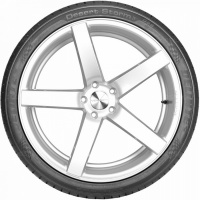 285/35 R22 106Y Delinte DS8