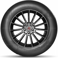 255/60 R18 112H DoubleStar DSS02