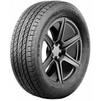 235/55 R19 101V Antares Majoris R1