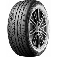 205/45 R16 83W Evergreen EU72