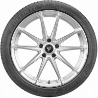 255/40 R20 101Y Delinte DS2