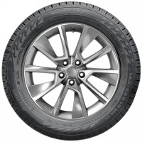 195/55 R16 91R Ikon / Nokian Tyres Nordman RS2 XL