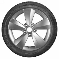 225/50 R17 98R Ikon / Nokian Tyres Character Snow 2 XL