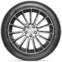 275/45 R21 110T DoubleStar DW02 (2024)