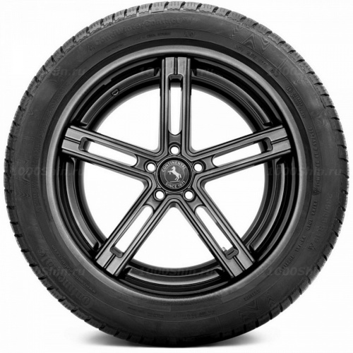 275/40 R19 101V Continental ContiWinterContact TS 830 P FR - 1