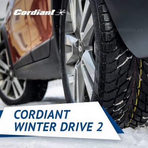 205/65 R16 99T Cordiant Winter Drive 2 - 1