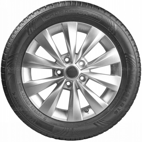205/70 R15 96T Ikon / Nokian Tyres Character Eco - 1