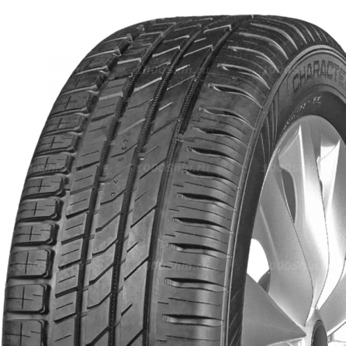 205/70 R15 96T Ikon / Nokian Tyres Character Eco - 1