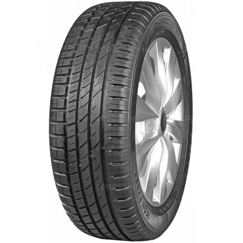 205/70 R15 96T Ikon / Nokian Tyres Character Eco - 1