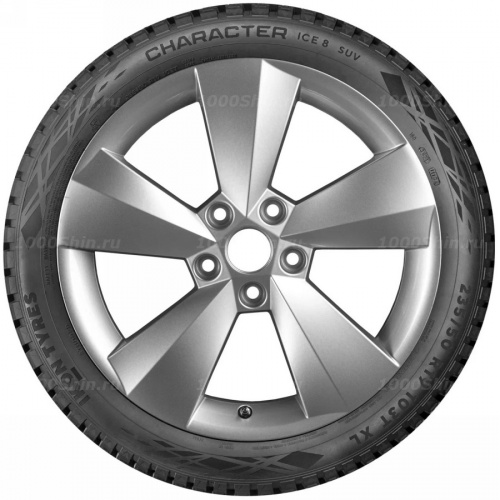 255/65 R17 114T Ikon / Nokian Tyres Character Ice 8 SUV XL - 1