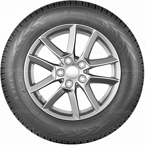 295/40 R21 111V Nokian Tyres WR SUV 4 - 1
