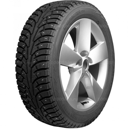 195/65 R15 95T Ikon / Nokian Tyres Character Ice 5 XL - 1